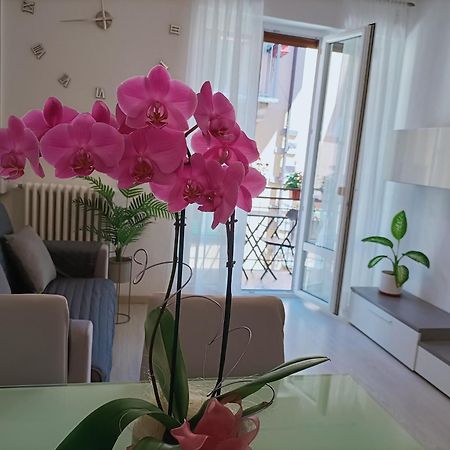 Apartment Jessy Baveno Buitenkant foto