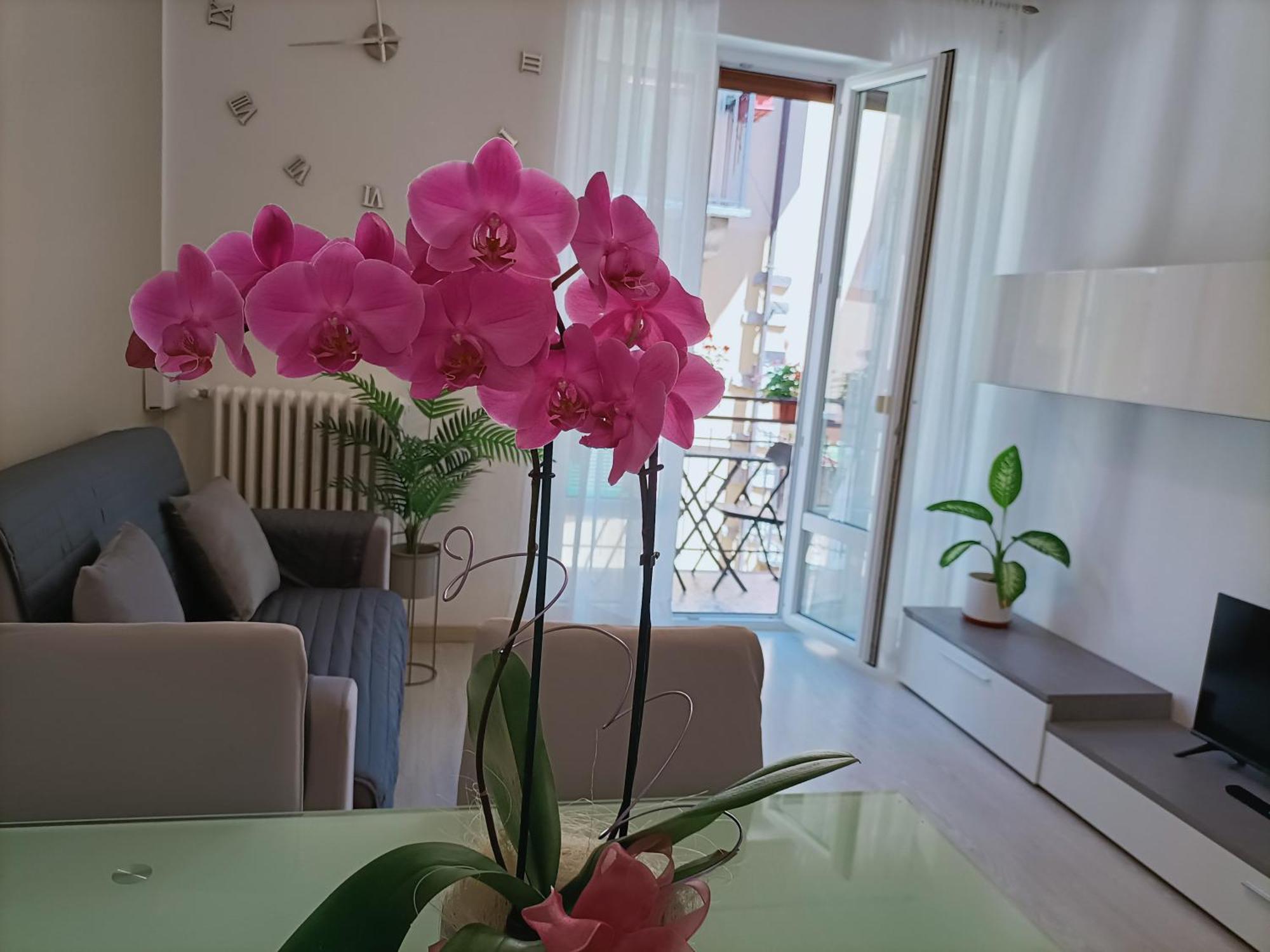 Apartment Jessy Baveno Buitenkant foto